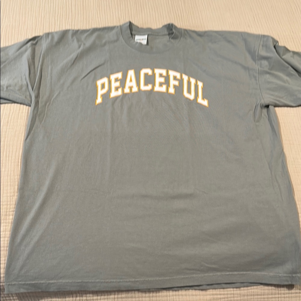 Midnight Organic Larry June Very Peaceful Sage Green T-Shirt Brand New XXL